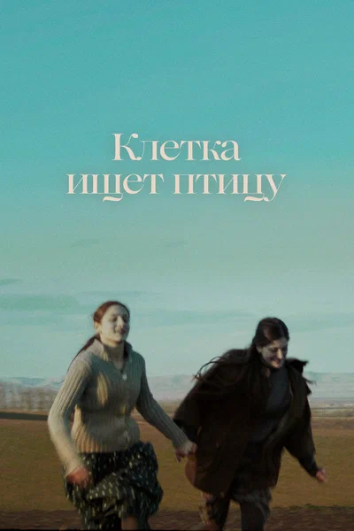 Постер: Клетка ищет птицу